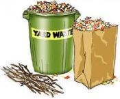 Brush, leaves and a barrel for yard waste pick up