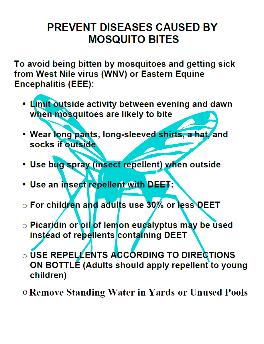 Prevent Diseases Caused by Mosquito Bites