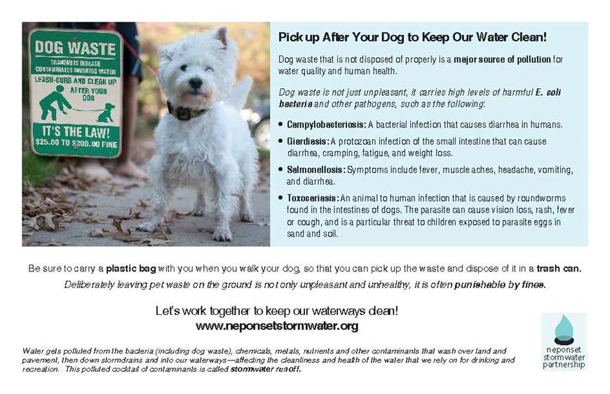 Pick Up After Your Dog