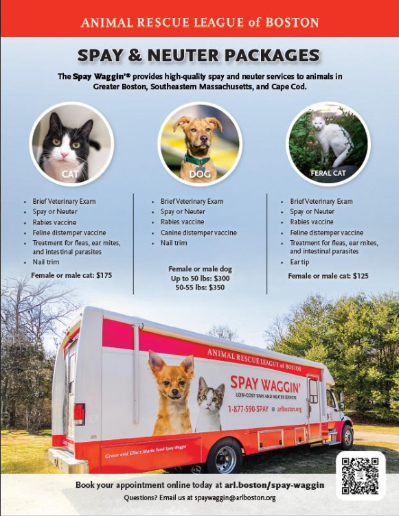 Low Cost Spay / Neuter Animal Rescue League of Boston