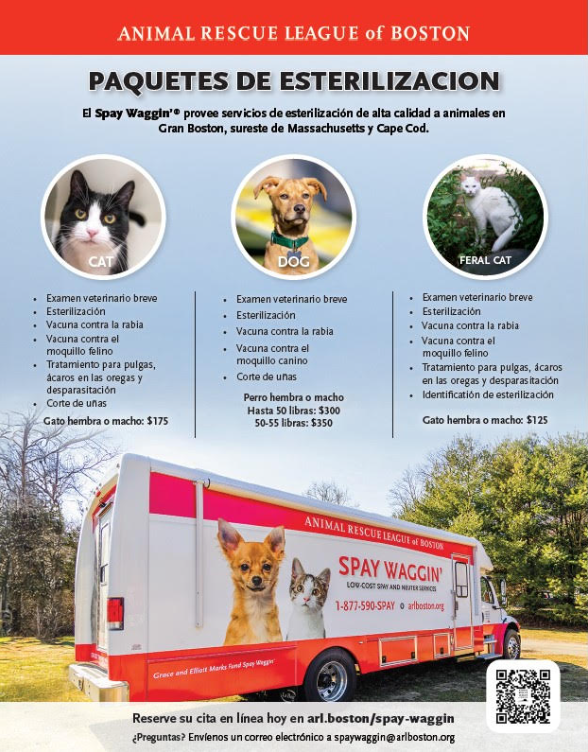 Low Cost Spay / Neuter Animal Rescue League of Boston